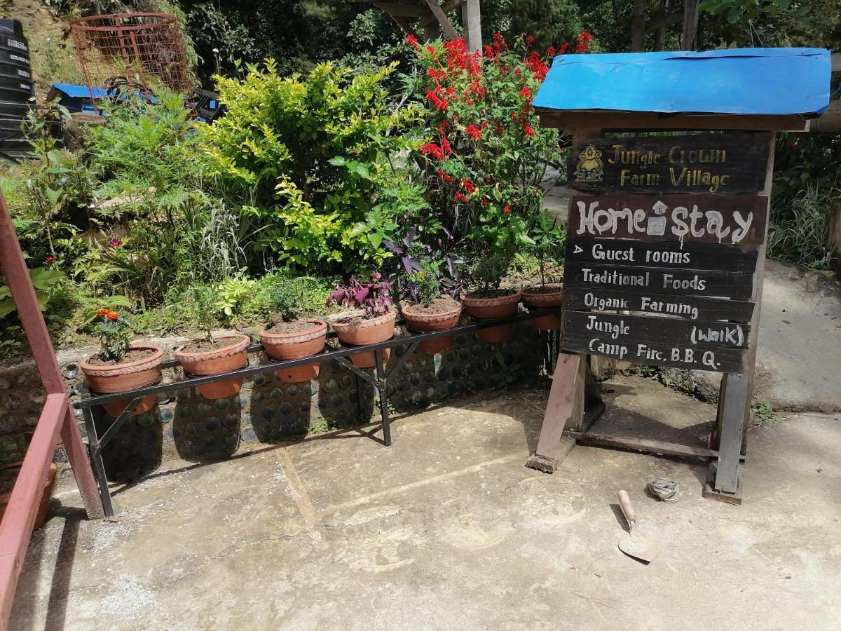 Jungle Crown Organic Homestay Nagarkot Ngoại thất bức ảnh
