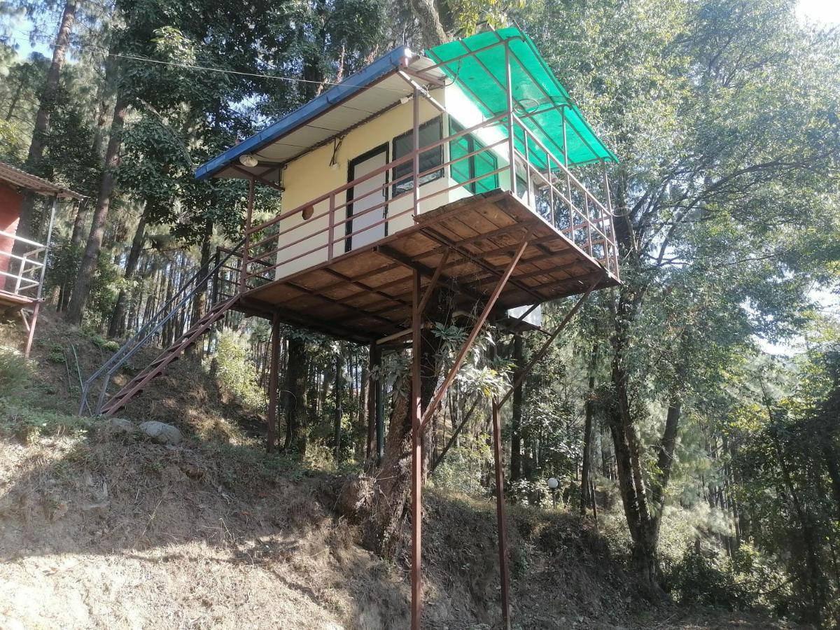 Jungle Crown Organic Homestay Nagarkot Ngoại thất bức ảnh