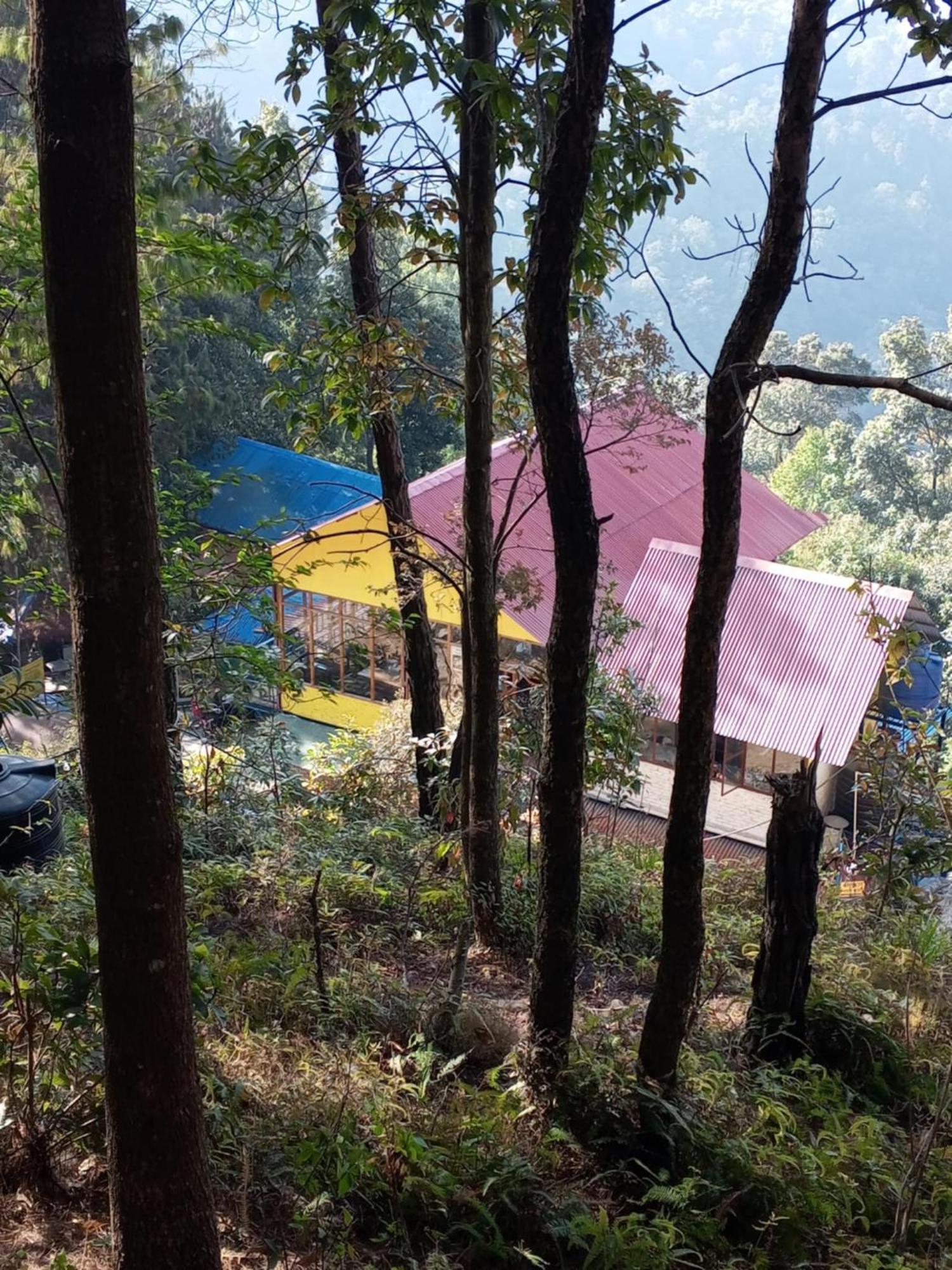 Jungle Crown Organic Homestay Nagarkot Ngoại thất bức ảnh