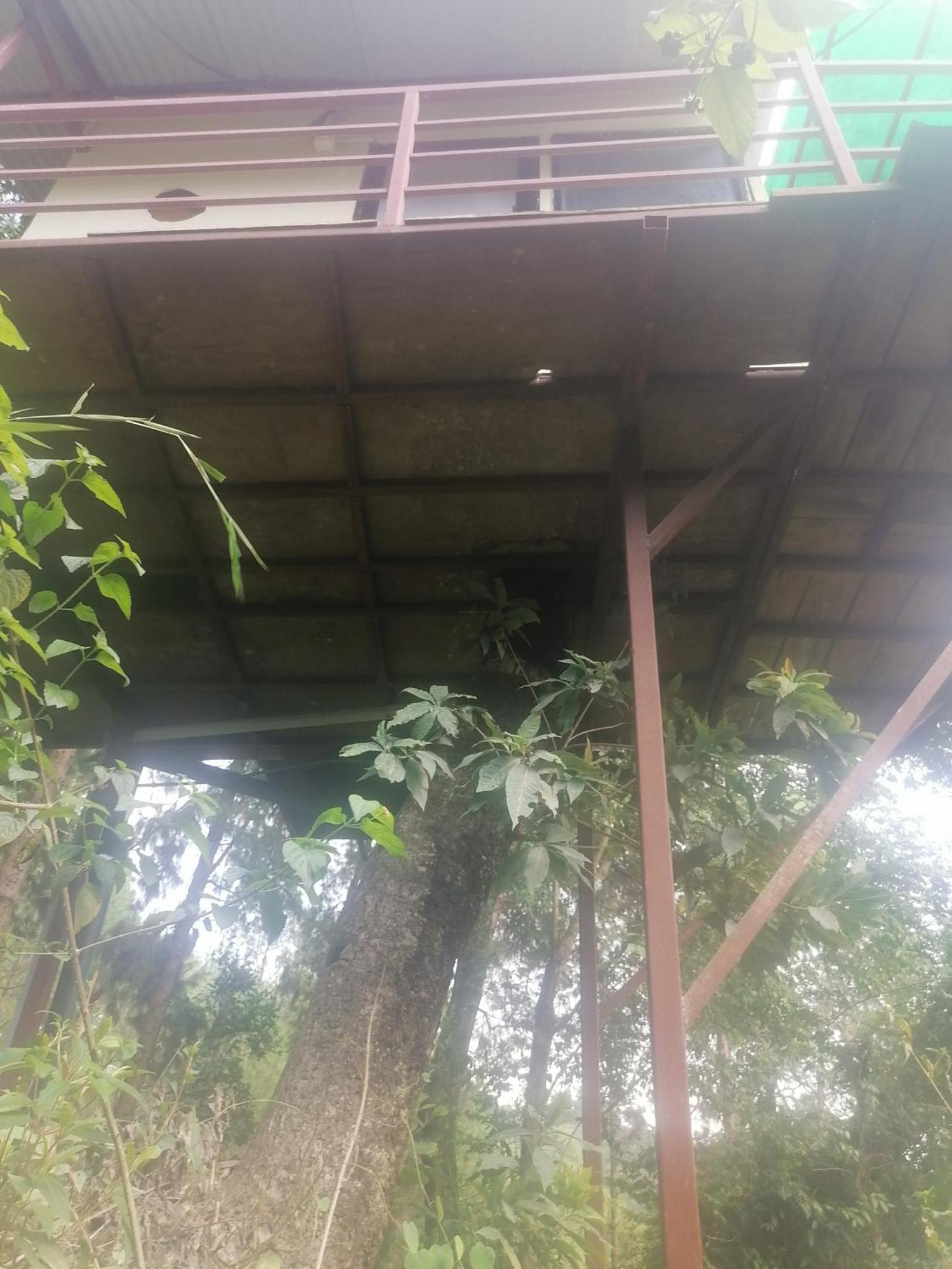 Jungle Crown Organic Homestay Nagarkot Phòng bức ảnh