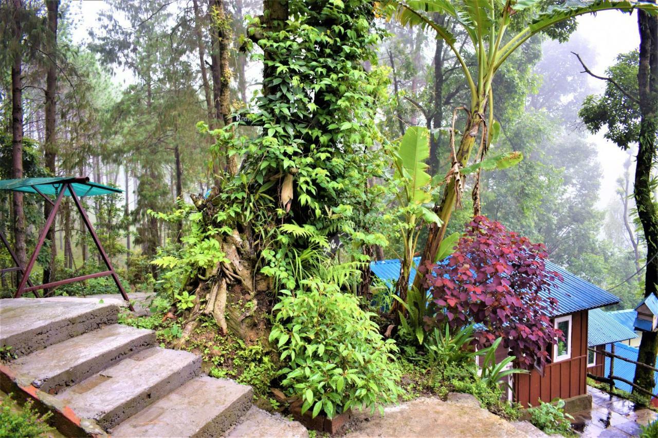 Jungle Crown Organic Homestay Nagarkot Ngoại thất bức ảnh