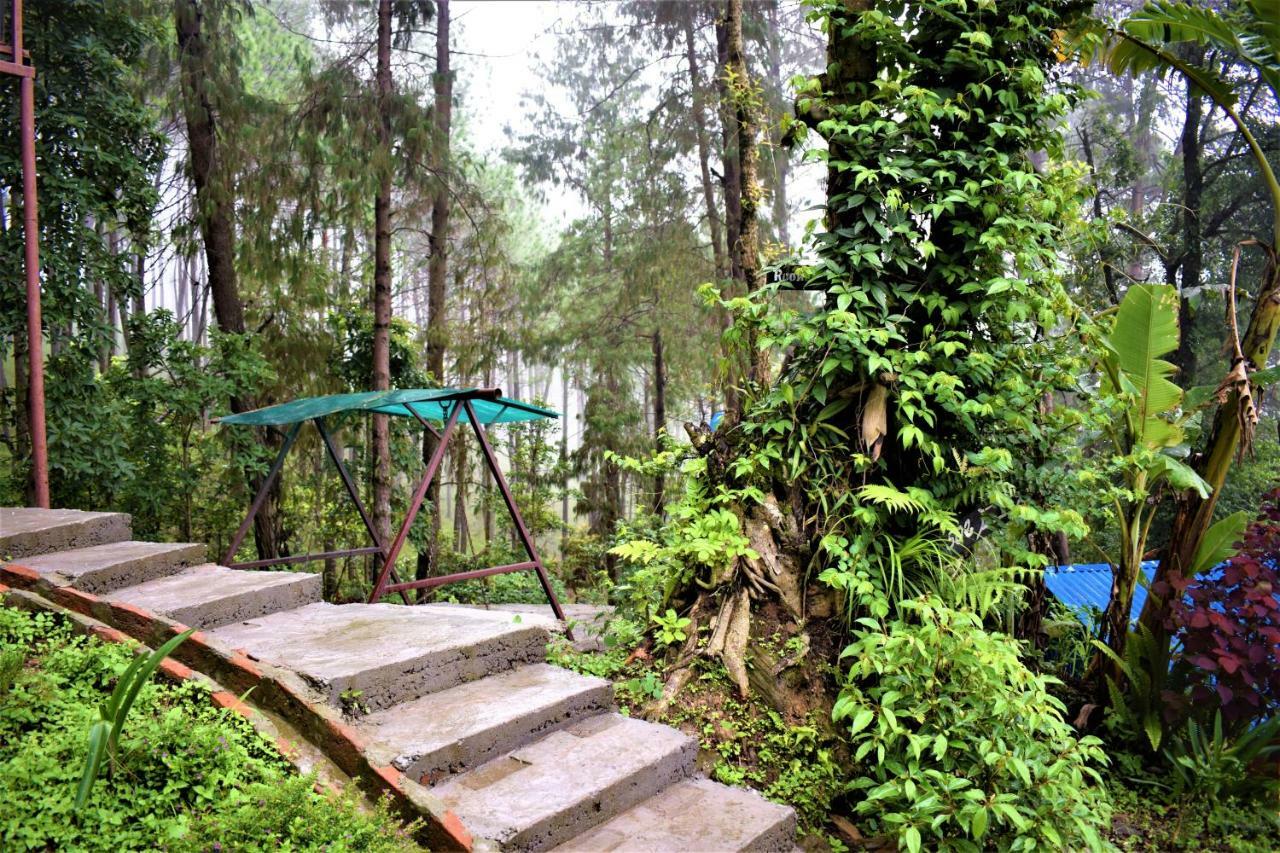 Jungle Crown Organic Homestay Nagarkot Ngoại thất bức ảnh