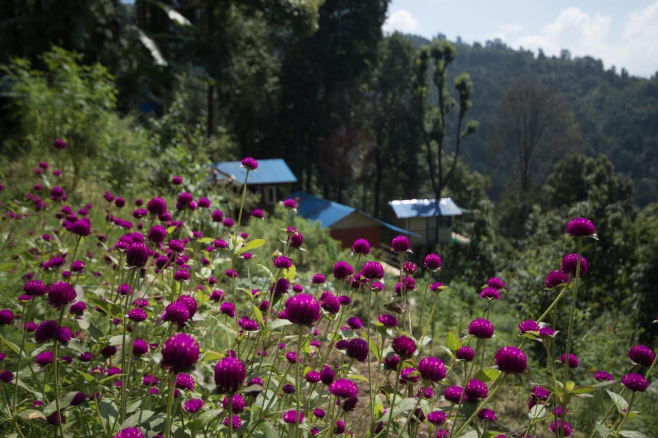 Jungle Crown Organic Homestay Nagarkot Ngoại thất bức ảnh