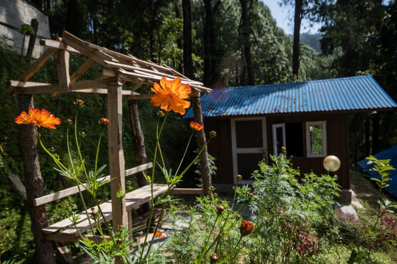 Jungle Crown Organic Homestay Nagarkot Ngoại thất bức ảnh
