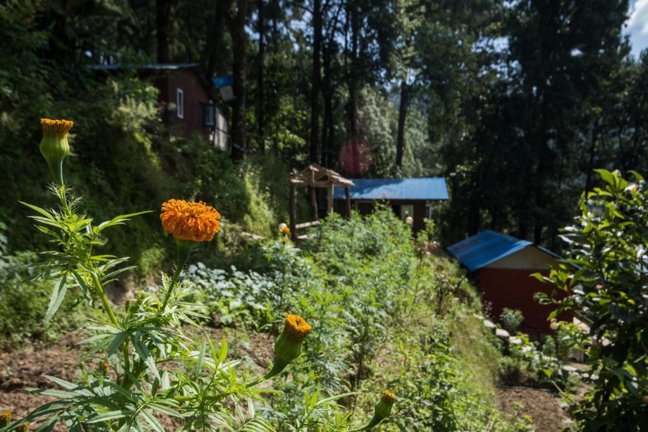 Jungle Crown Organic Homestay Nagarkot Ngoại thất bức ảnh